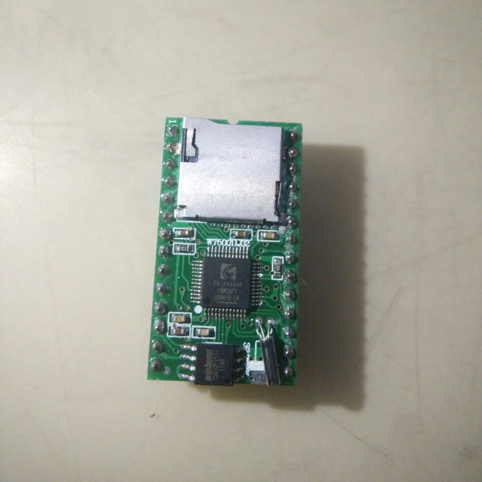 WT5001M02-28P Mp3 Sound Module (IC Bukan WT5001)